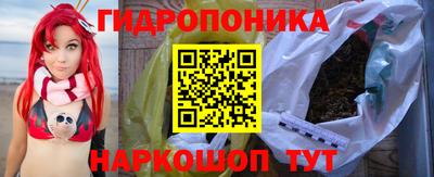 индика Братск