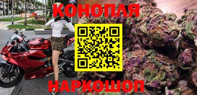 Альфа ПВП Бердск