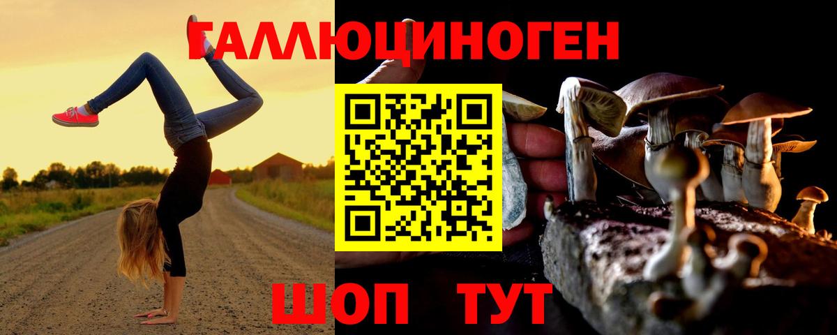 Ангарск  цены   Вход с VPN  Псилоцибиновые грибы ЛСД 